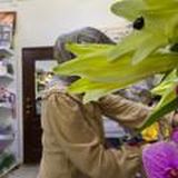 Мэри- немного не в себе