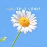 Красивое Видео️️️ 🍂🍁