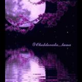 𝗕 𝗘 𝗚 𝗔 𝗟 𝗜 𝗘 𝗩 𝗔 𝗦🐬🦋