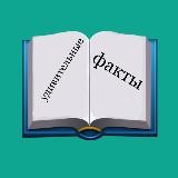 Интересные факты