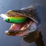 Рыбалка | Лайфхаки | Вести с водоемов