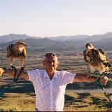 Записки ветврача Орнитолога.