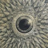 Виникаючий порядок ✙ #УкрТґ