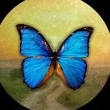 Поездки в Болгар, о. Владимир Головин