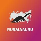 Млекопитающие России