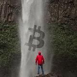 Криптанутый