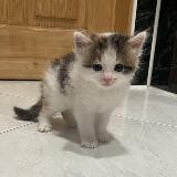 маленькость 🐣