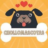 𝗖𝗛𝗢𝗟𝗟𝗢𝗠𝗔𝗦𝗖𝗢𝗧𝗔𝗦 🐾