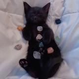 Травы и Самоцветы