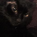 blazerboe | Челябинский электрощит