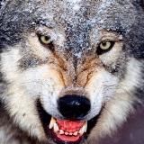 Такие себе новости