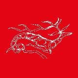 “Русская Античность”. Делаем историю частью себя, а себя частью истории.