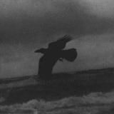 𝐕𝐚𝐧𝐢𝐭𝐚𝐭𝐞