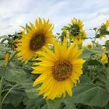 Моменты жизни