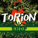 Канал: Torion