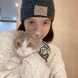 закрыто / рюлис
