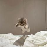 сумасшедший гороскопчик