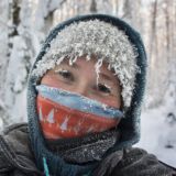 Полярная крачка