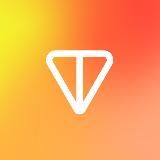 TON Coins Price