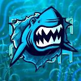 / ДЯДЯ ВАНЯ 🐬🫶 /