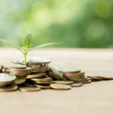 X-Profit. Смарт-контракт на BnB. Зеленый Король