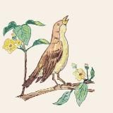 СоловейТорт кондитерская студия