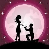 M O O N L I G H T 🌒