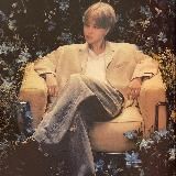 🐈Calico Cat🐈⬛