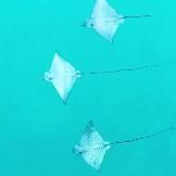 Покупаем дом в Италии 💥