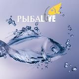 Рыбалка | РыбаLove🐟