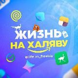 Жизнь на халяву