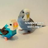 Люди так не делятся