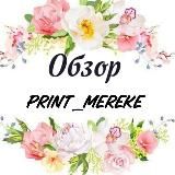 Обзор канала 🌸Print_Mereke🌸