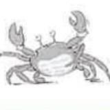 Диб 19 y.o Максувходзапрещён