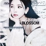 blossom shop : 꽃 가게 🍬