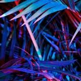 аутизм и перфекционизм