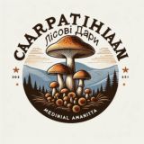 Лісові Дари | Мухомори 🇺🇦