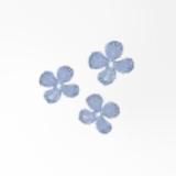 маарабиййуна