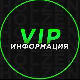 Информация о VIP ОГЭ [HOLZEN]