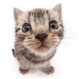 Телеграма Вконтакте Ватсапа Инстаграма