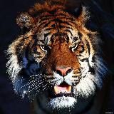 По наводке🎯VIP