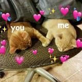 😍 пикчи для романтики 😍