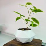 МБОУ ДО "ЦНИТ "Росток"