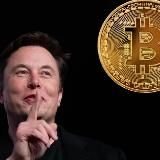 Маска Догги