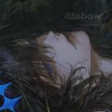 .。𝙡𝙞𝙛𝙚𝙗𝙤𝙬。.