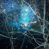 Нейромастер счастья "Йога для мозга"