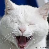 За секунду до …