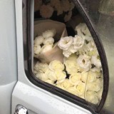 тʙᴏи ʍыᴄᴧи