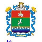 5️⃣9️⃣ Чайковский Пермь НОВОСТИ LIVE