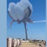 Крымский хлопок👏